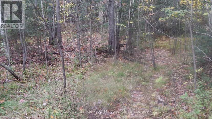 Lot 25 Development Road — photo 10 of 11