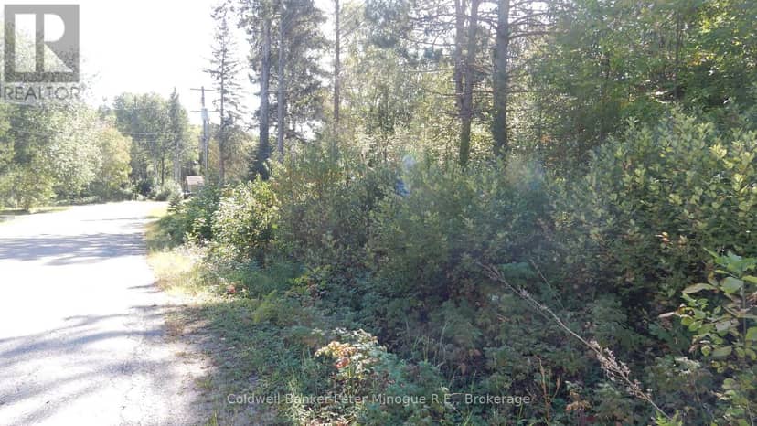 Lot 25 Development Road — photo 3 of 11