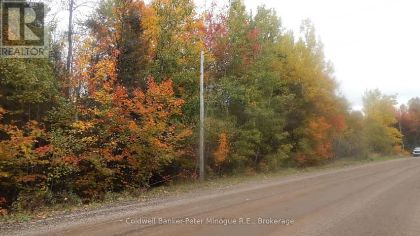 Lot 25 Development Road — photo 9 of 11