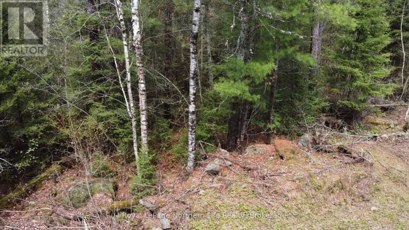 Lot 16 Part 2, Suzannes Road, Calvin, photo 7
