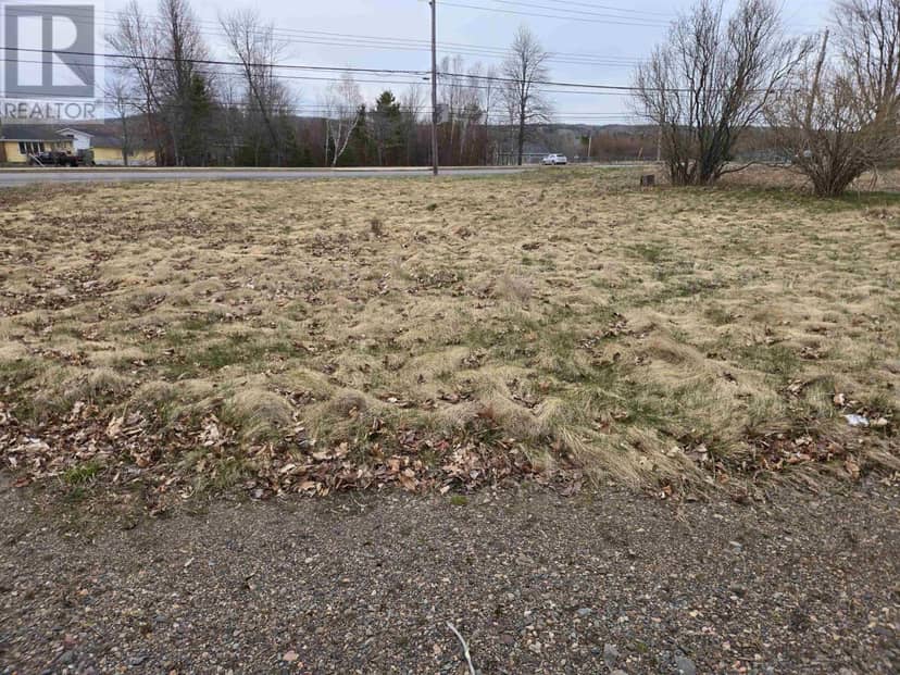 Pictou Rd, Bible Hill, photo 4