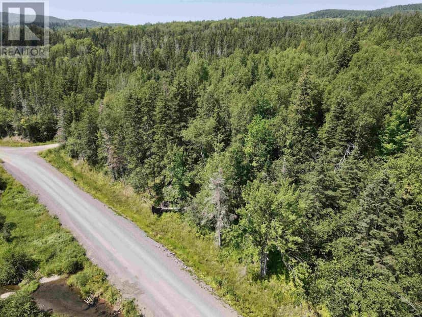 Lot 1 Northeast Mabou Road — photo 4 of 16