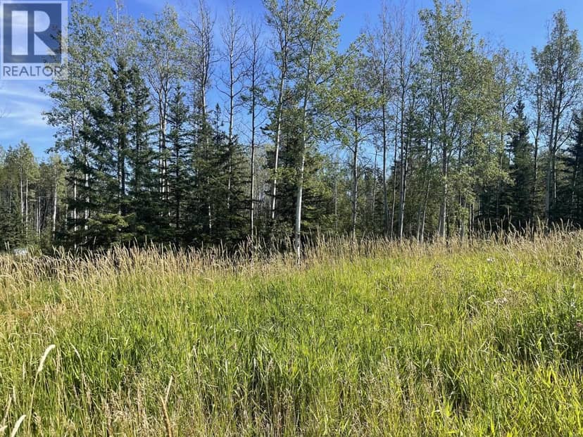 35 RADAR CRESCENT, Fort Nelson, photo 5
