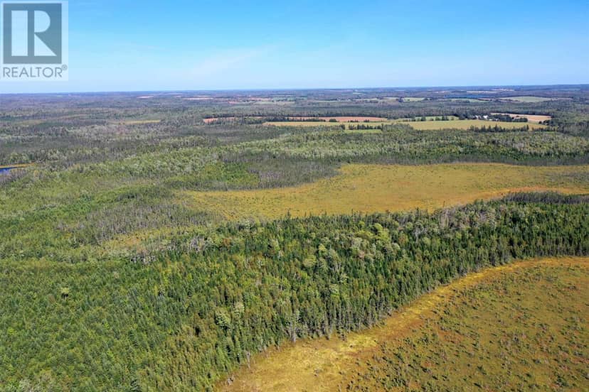 Acreage Monaghan Road — photo 14 of 20