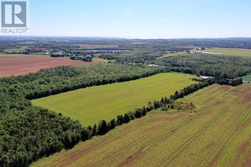Acreage Monaghan Road, Lake Verde, photo 5