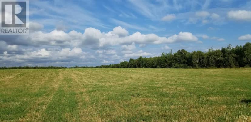 Acreage Monaghan Road, Lake Verde, photo 7
