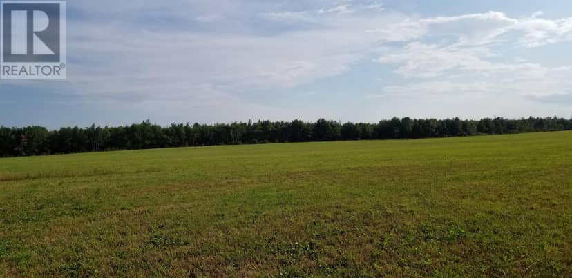Acreage Monaghan Road — photo 9 of 20