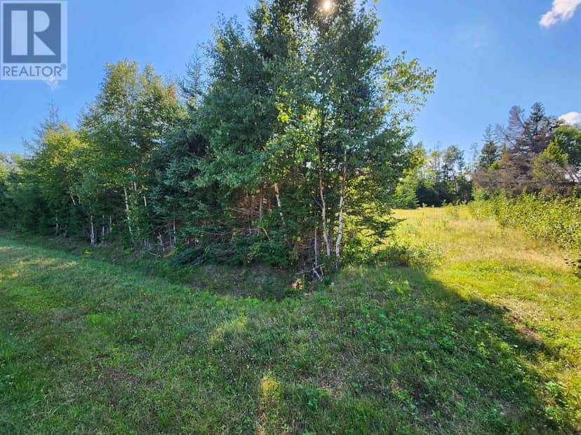 Lot Primrose Road — photo 12 of 18