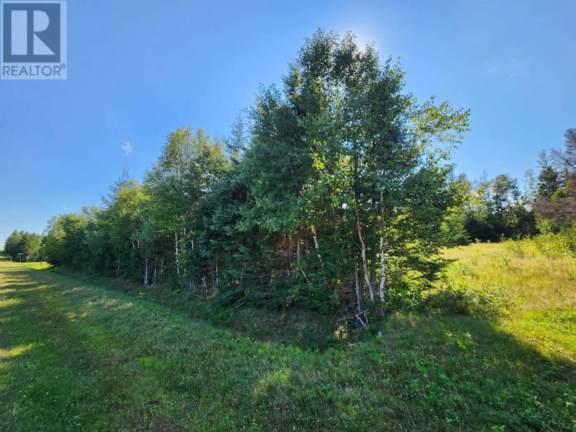 Lot Primrose Road — photo 11 of 18