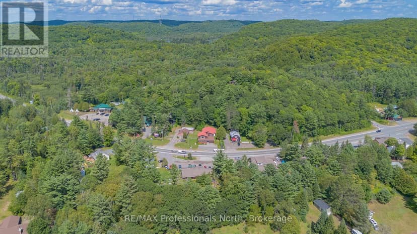 2831 60 Highway, Lake of Bays, photo 4