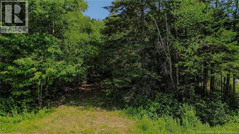 Vacant Land Route 845, Kingston, photo 3