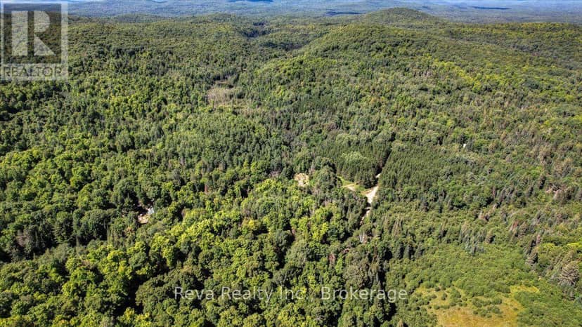 0 Snake Rapids Road — photo 19 of 23