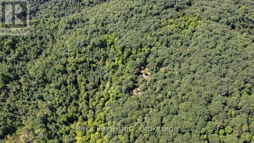 0 Snake Rapids Road — photo 17 of 23