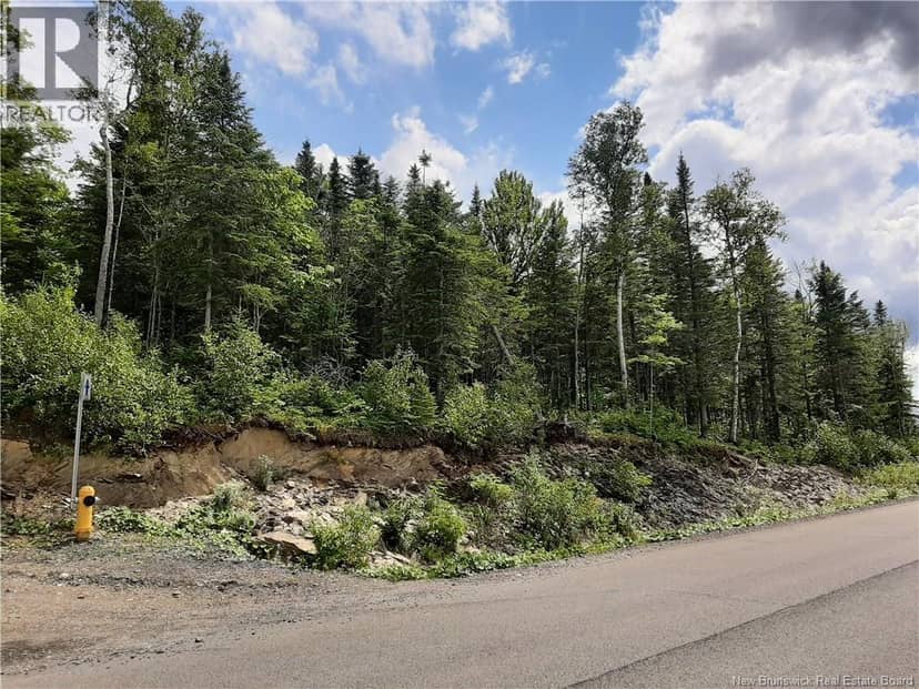 0 De La Falaise Street, Edmundston, photo 2