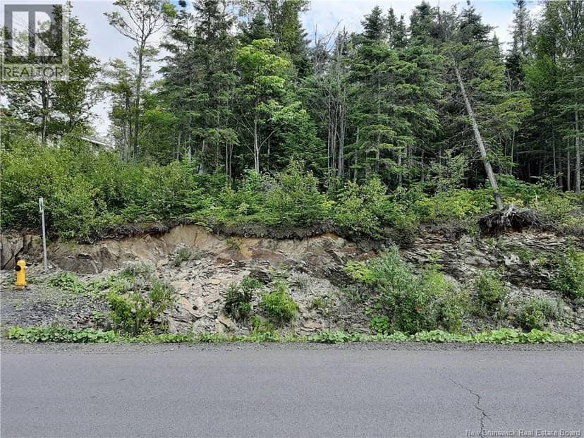 0 De La Falaise Street, Edmundston, photo 3