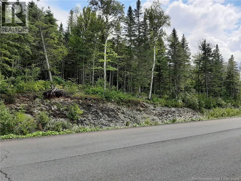 0 De La Falaise Street, Edmundston, photo 4
