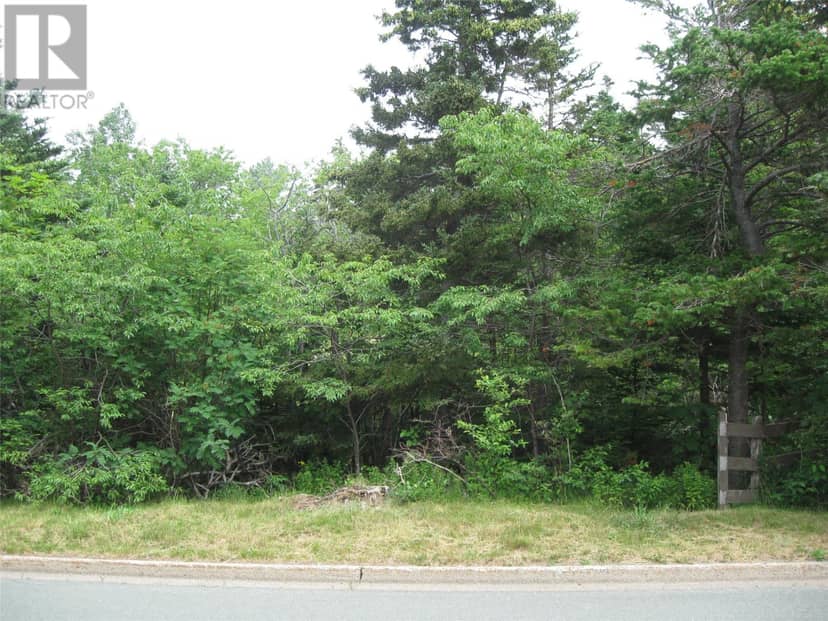 53 B Lawrence Pond Road E, Conception Bay South, photo 2