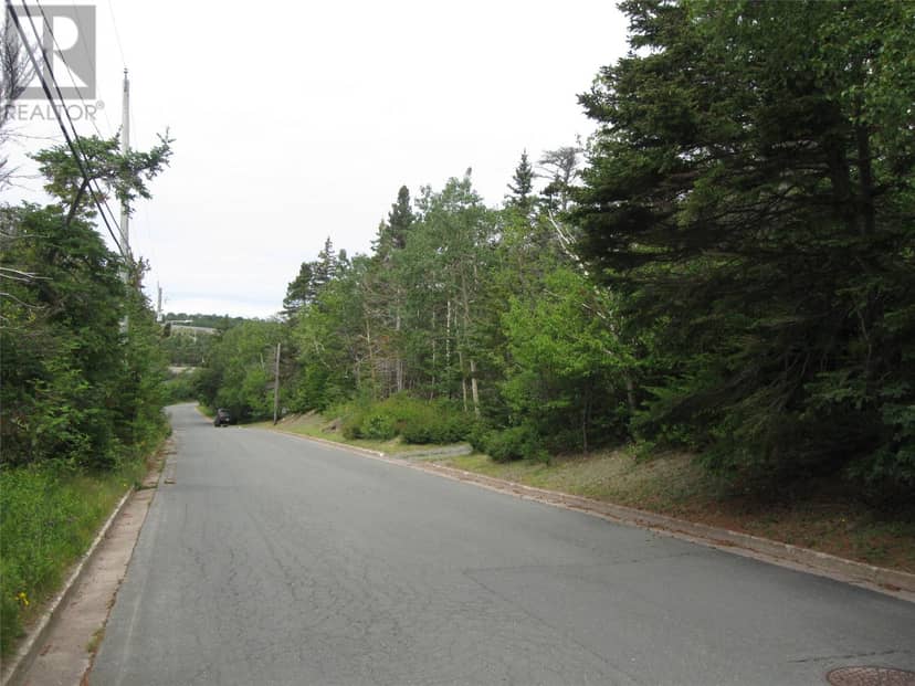 53 B Lawrence Pond Road E, Conception Bay South