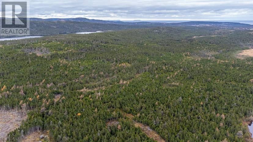 0 Medalsis Pond Road, Flatrock, photo 3