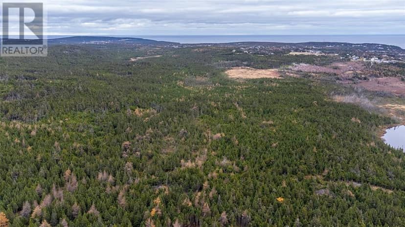 0 Medalsis Pond Road, Flatrock, photo 4