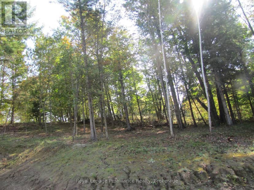 1054 Centre Line Road, Marmora and Lake, photo 7