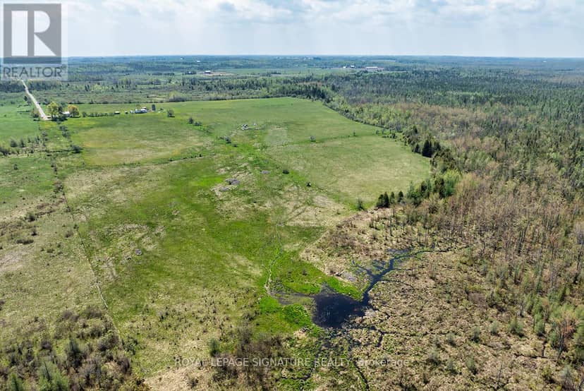 1007 Moor Road, Kawartha Lakes, photo 4