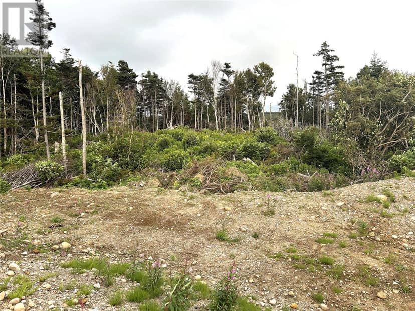 LOT B Main Road — photo 9 of 12