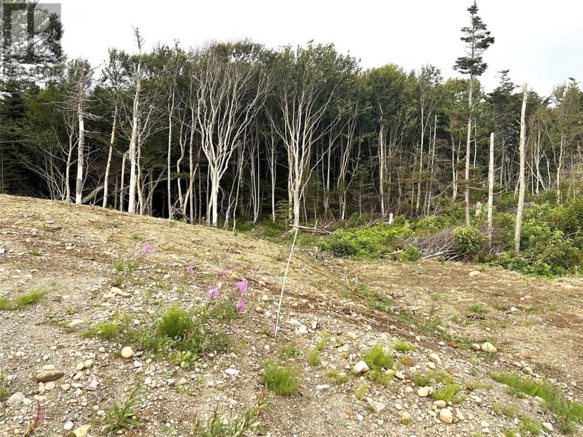 LOT A Main Road, Port au Port East, photo 2