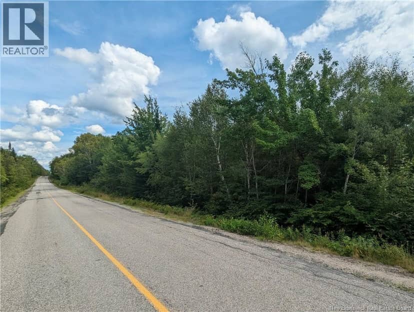 47 Acres North Barnaby Road — photo 4 of 10