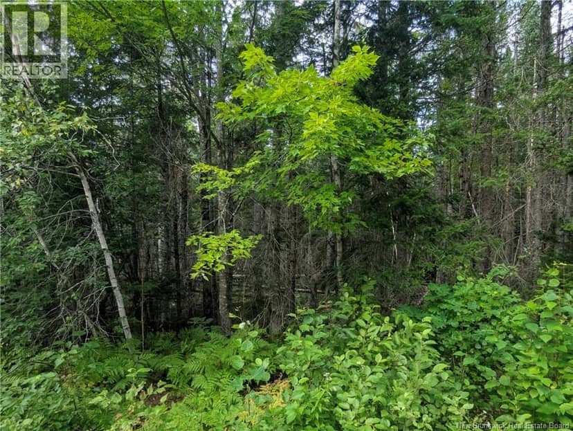47 Acres North Barnaby Road — photo 6 of 10