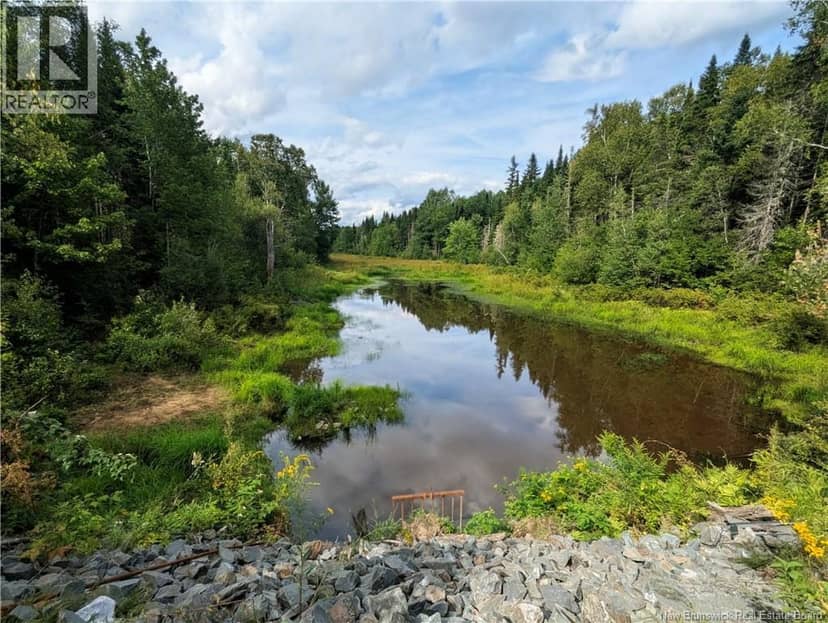 47 Acres North Barnaby Road — photo 3 of 10