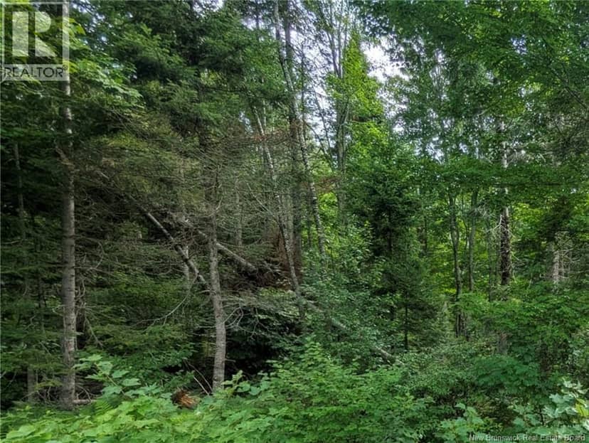 47 Acres North Barnaby Road — photo 5 of 10