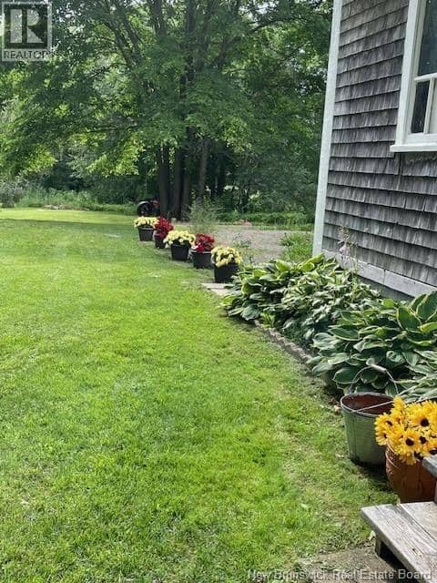 350 Debec Road — photo 37 of 40