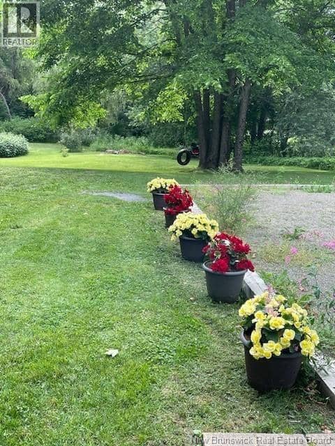 350 Debec Road — photo 38 of 40