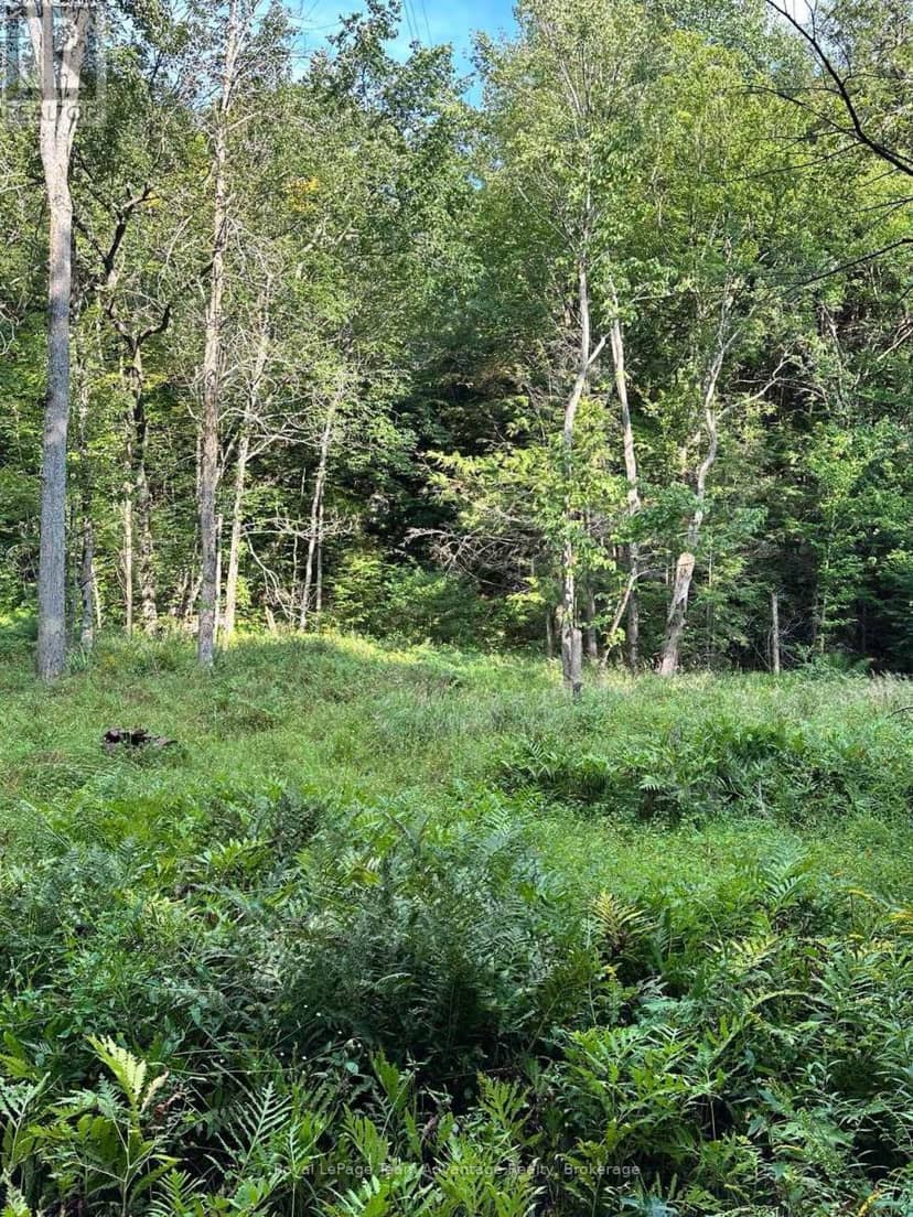94 Crane Lake W/A — photo 13 of 14