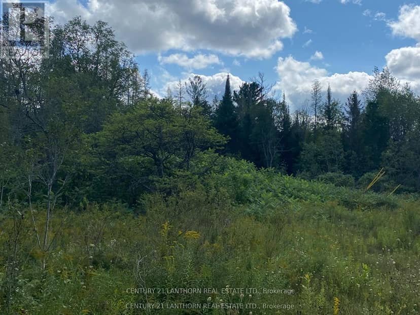 0 Stoney Settlement Road — photo 18 of 22