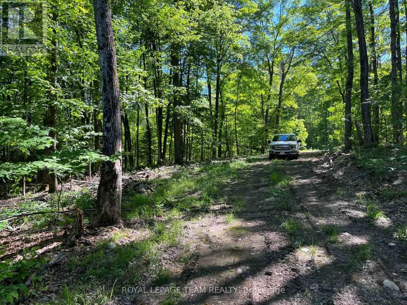 00 Siberia Road, Madawaska Valley, photo 3