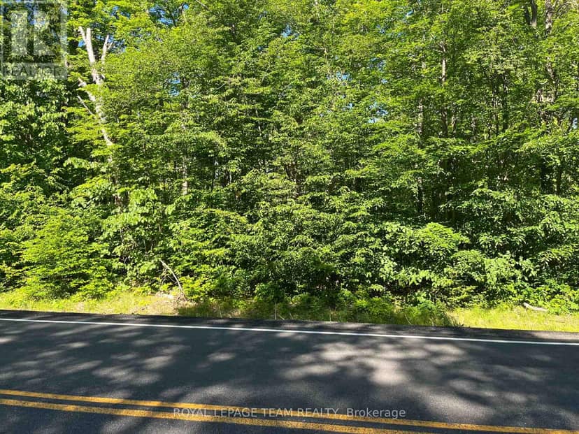 01 Siberia Road — photo 2 of 6