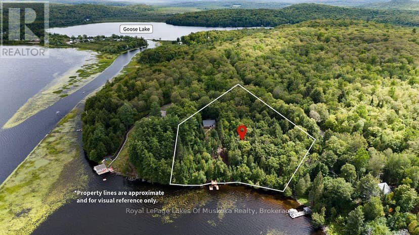 215 Sandwood Drive, Ryerson, photo 3