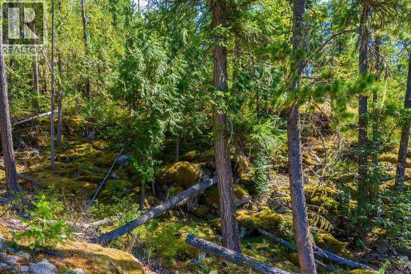 Lot A & Lot 6 Anstey Arm, Sicamous, photo 5