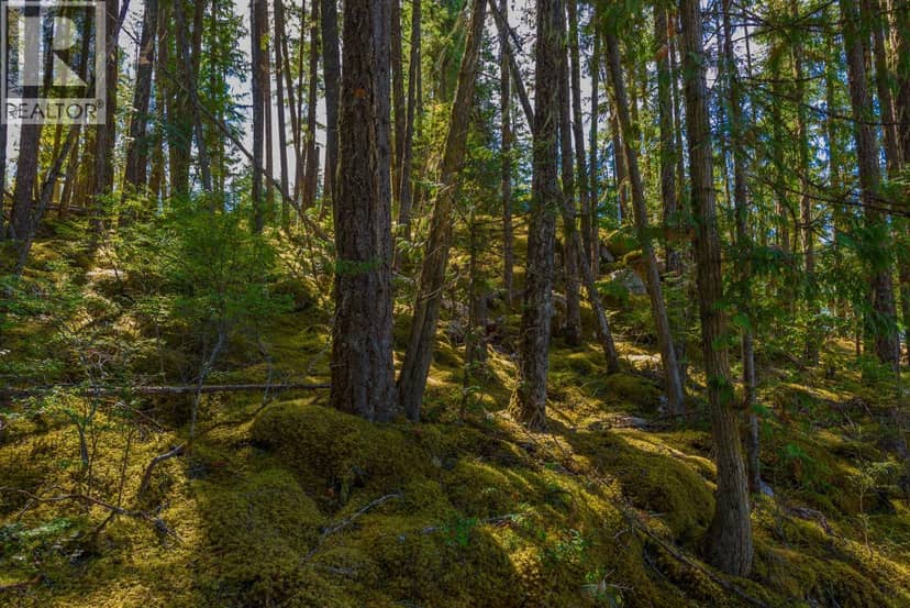 Lot A & Lot 6 Anstey Arm, Sicamous, photo 4