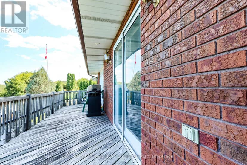 243 Lawlor Street — photo 5 of 31