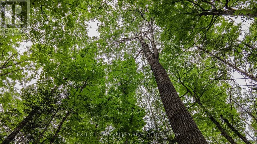 0 Peplinskie Road, Madawaska Valley, photo 4