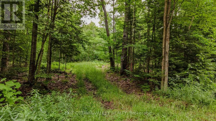 0 Peplinskie Road, Madawaska Valley, photo 2