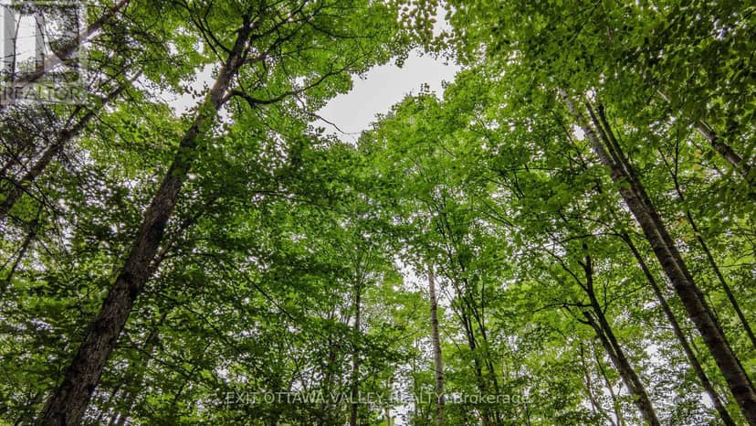 0 Peplinskie Road, Madawaska Valley, photo 8