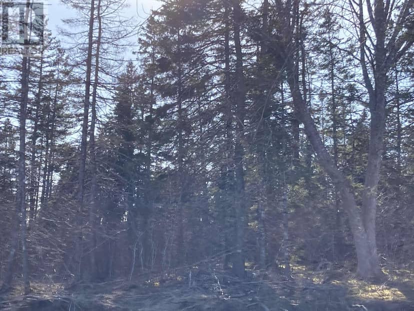 Lot 21-7 Mary Cecelia Ridge — photo 21 of 25