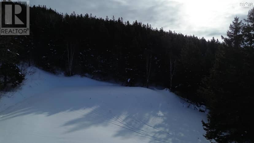 3166 Highway 19 — photo 18 of 35