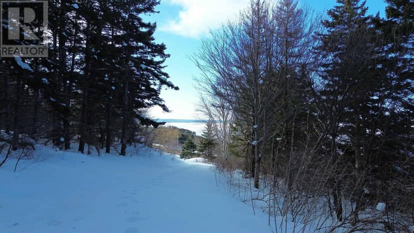 3166 Highway 19 — photo 12 of 35