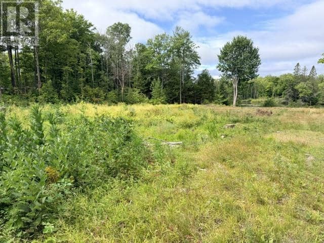 3 River DR, Blind River, photo 7