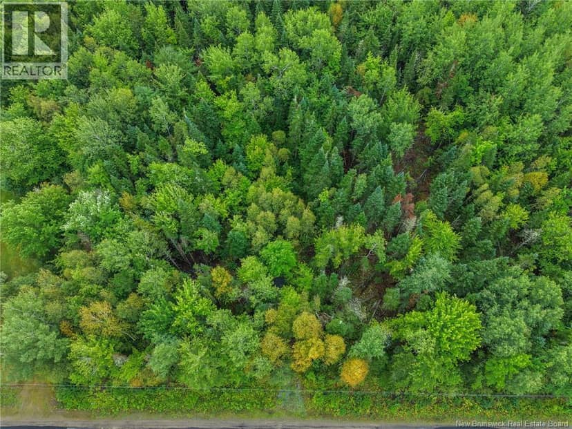 Lot 4 Boone Road — photo 7 of 10